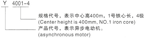 西安泰富西玛Y系列(H355-1000)高压YJTFKK450-4D三相异步电机型号说明